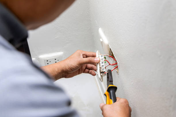 Best Affordable Emergency Electrician  in Lake Leann, MI